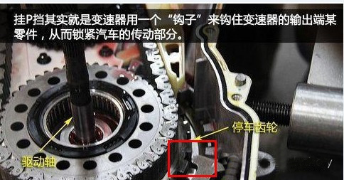 自动挡这样停车是钱太多了！不要先挂P档！908 / 作者:UFO爱好者 / 帖子ID:72234